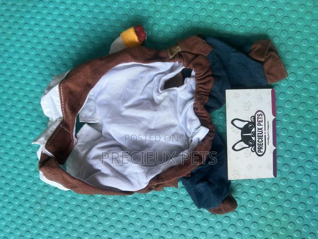 Toy Dog Clothing- New Stock -2025-000400503 · Photo 1