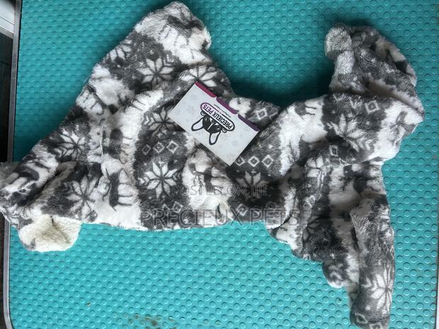 Toy Dog Clothing- New Stock -2025-0 063820000 · Photo 1