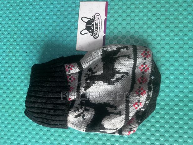 Toy Dog Clothing- New Stock -2025-0 49420000 · Photo 1