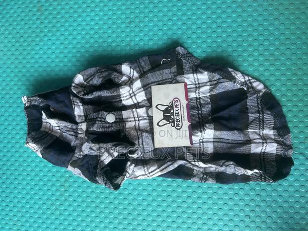 Toy Dog Clothing- New Stock -2025-0 4020000 · Photo 1