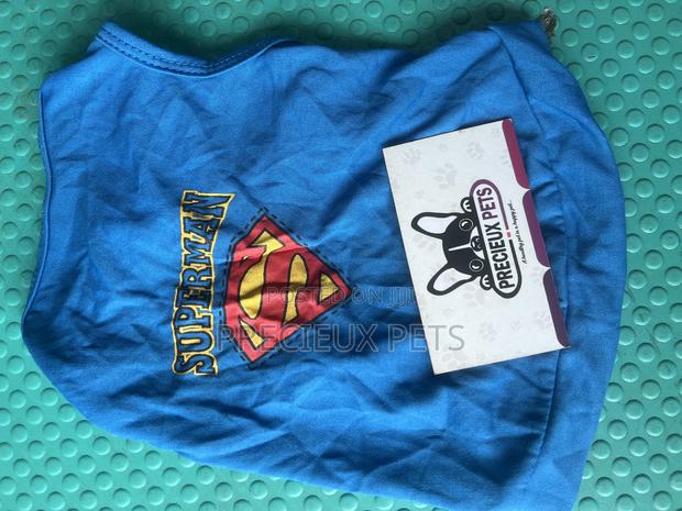 Toy Dog Clothing- New Stock -2025-0 00300200 · Photo 1