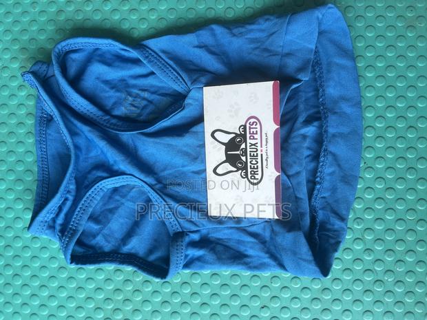 Toy Dog Clothing- New Stock -2025-0 00300200 · Photo 2