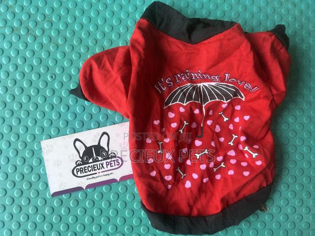 Toy Dog Clothing- New Stock -2025-0 30200204 · Photo 1