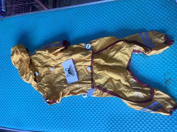 Toy Dog Clothing- New Stock -2025-0 639263920 · Photo 1