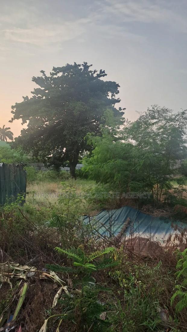 Land Forsale -Tesano · Photo 3