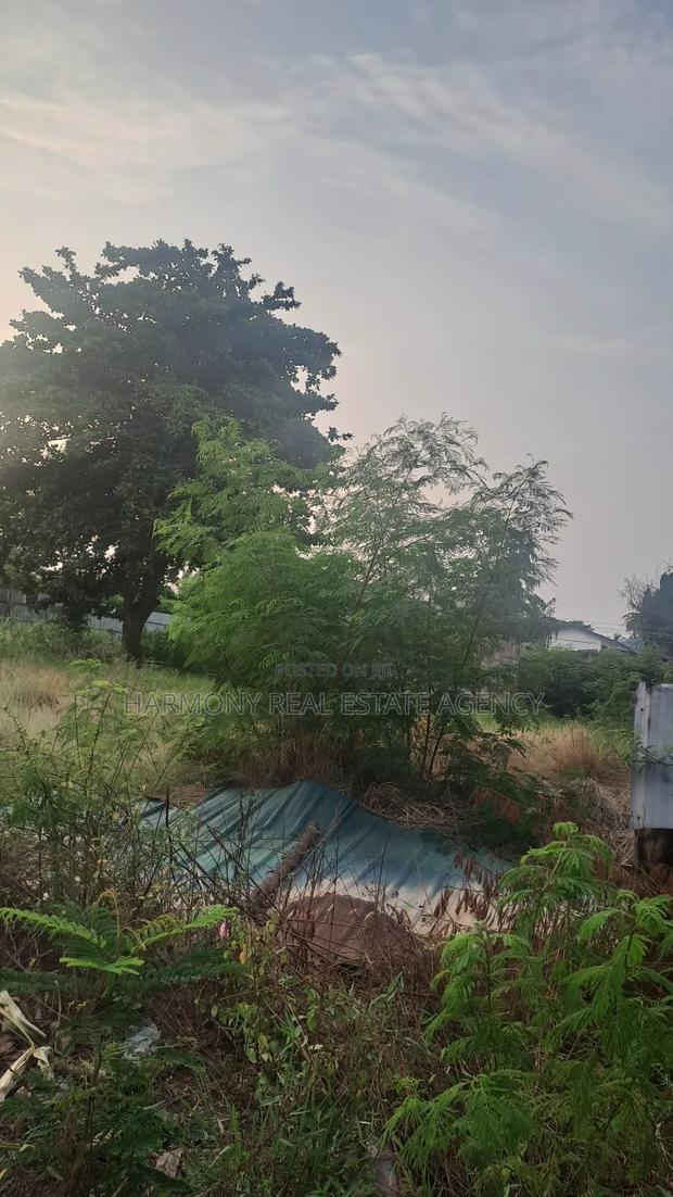 Land Forsale -Tesano · Photo 2