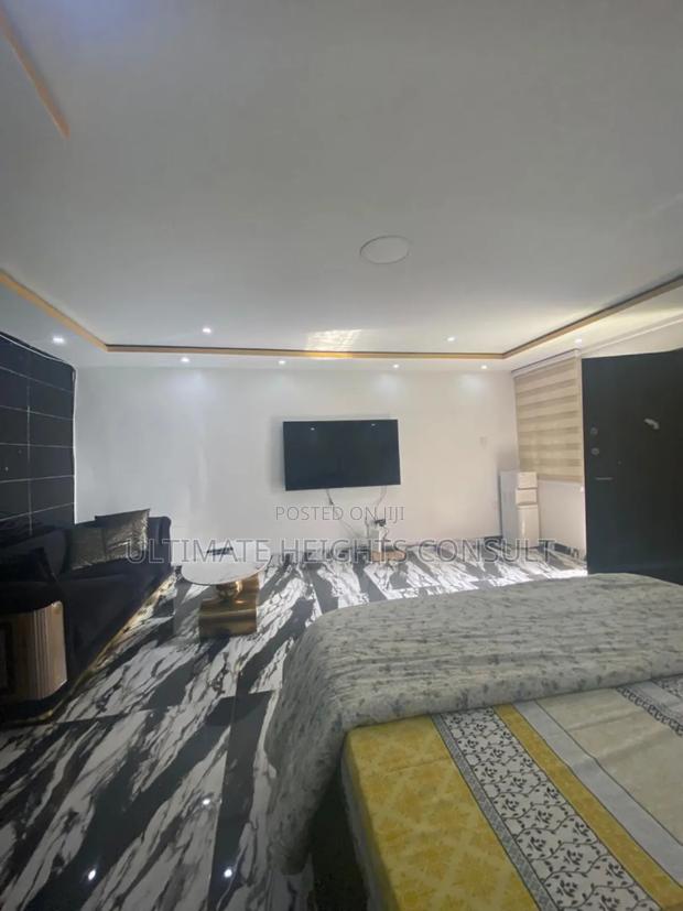 Furnished 1bdrm Apartment in Dzorwulu for rent · Photo 3
