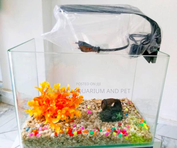 Package Table Top Aquarium · Photo 1