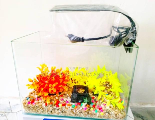Package Table Top Aquarium · Photo 2