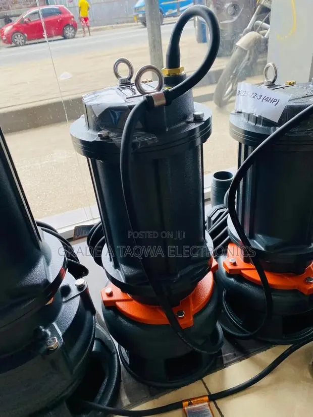 Thermal Protection Rated,Leo 5.5hp Sewage Pump · Photo 1