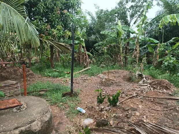 6 Plots for Sale at Kodie Apagya ( Nursing School) · Photo 1