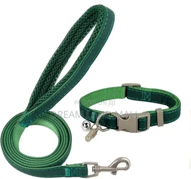 Pet Leash With Collar · Photo 1