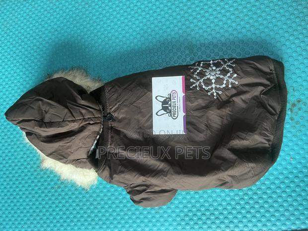 Toy Dog Clothing- New Stock -2025-0 183729 · Photo 1
