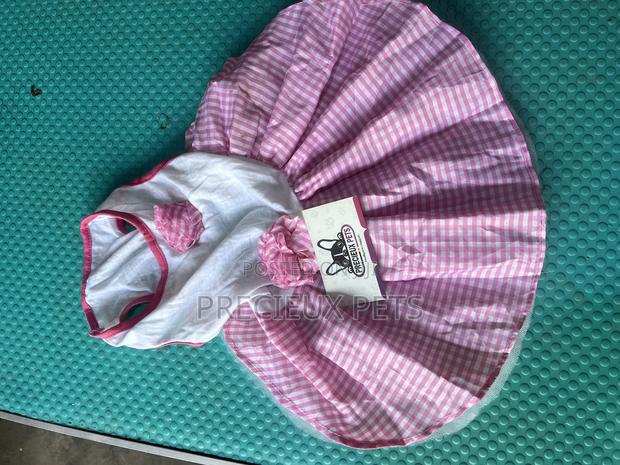 Toy Dog Clothing- New Stock -2025-0 582826 · Photo 1