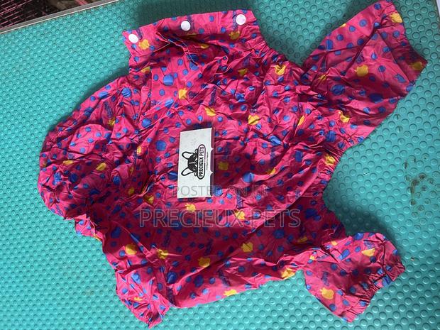 Toy Dog Clothing- New Stock -2025-0 A19376392 · Photo 1