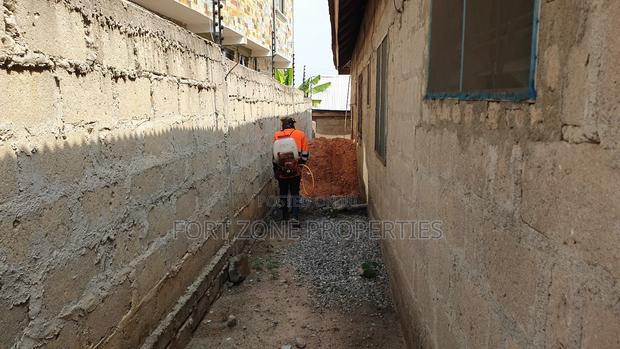 Home Pest Control With Cleantex · Photo 4