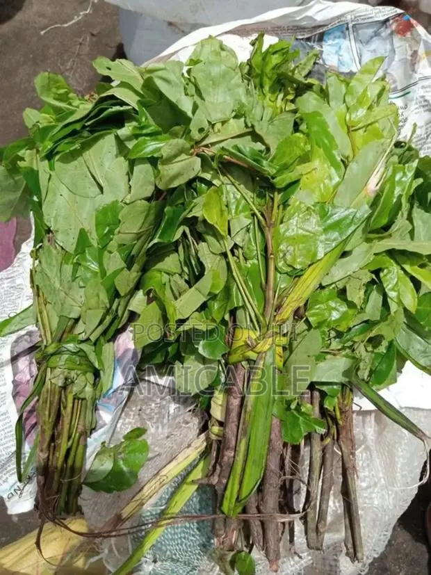 Fresh Nigeria Oha Leaf · Photo 1