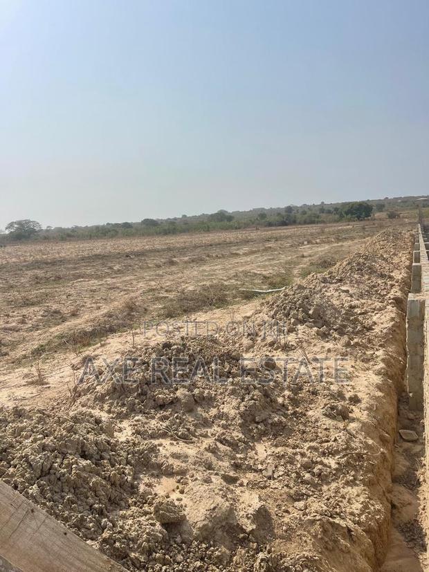 Fast Developing Plots on Sales · Photo 1