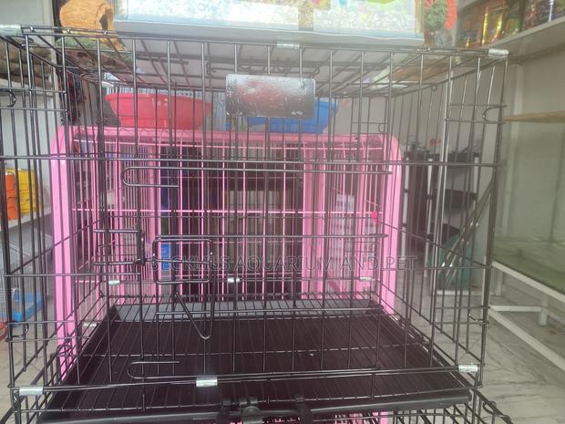 Portable Dog Cages for Your Dogs · Photo 2