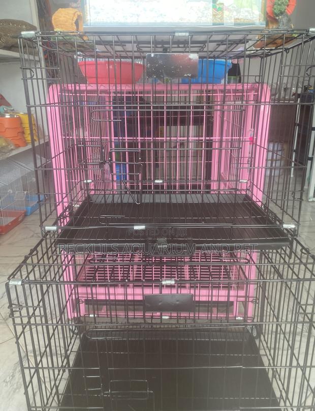 Portable Dog Cages for Your Dogs · Photo 1