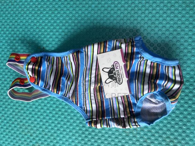 Toy Dog Clothing- New Stock -2025-0 009888988 · Photo 2