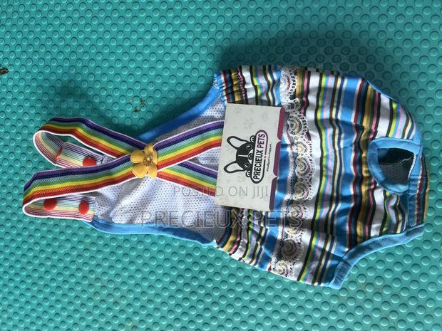 Toy Dog Clothing- New Stock -2025-0 009888988 · Photo 1