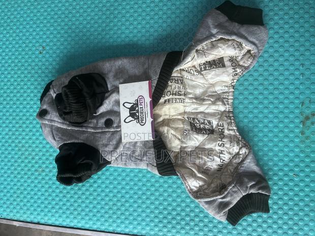 Toy Dog Clothing- New Stock -2025-0 000098776 · Photo 2