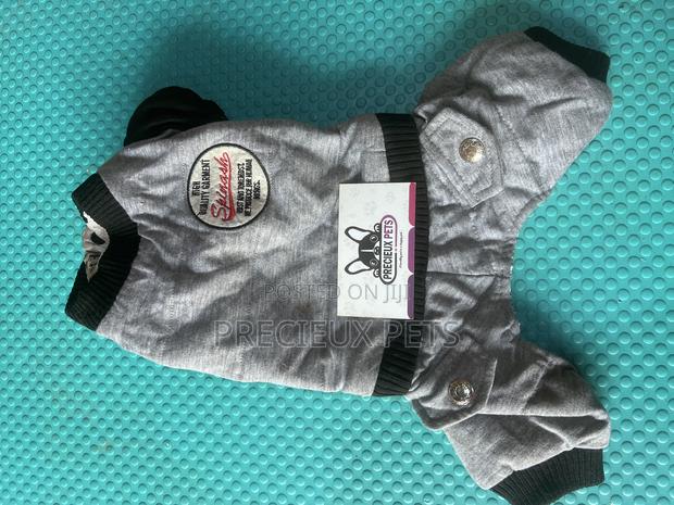 Toy Dog Clothing- New Stock -2025-0 000098776 · Photo 1