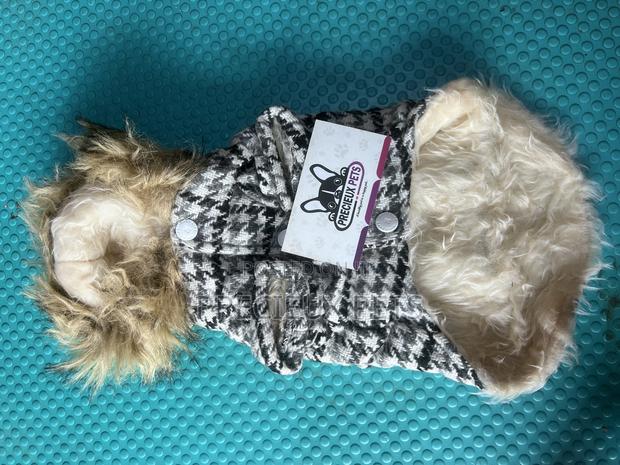 Toy Dog Clothing- New Stock -2025-0 00273729 · Photo 2