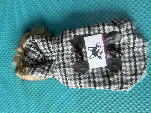 Toy Dog Clothing- New Stock -2025-0 00273729 · Photo 1