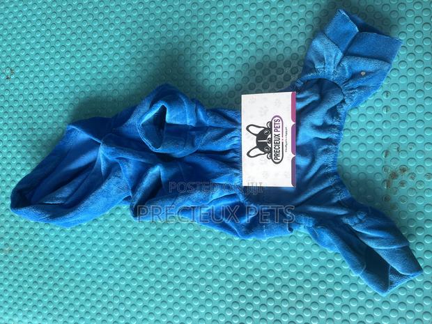 Toy Dog Clothing- New Stock -2025-0 09599 · Photo 2