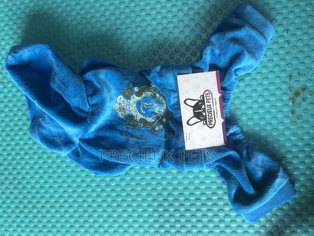Toy Dog Clothing- New Stock -2025-0 09599 · Photo 1