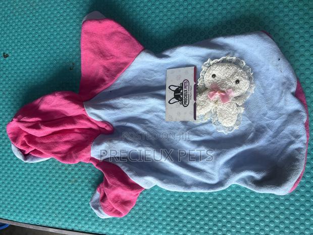 Toy Dog Clothing- New Stock -2025-0 01849237 · Photo 2