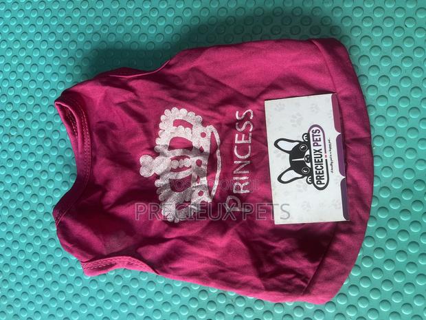 Toy Dog Clothing- New Stock -2025-0 01849237 · Photo 3