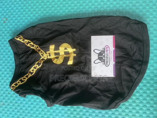 Toy Dog Clothing- New Stock -2025-0 01849237 · Photo 1