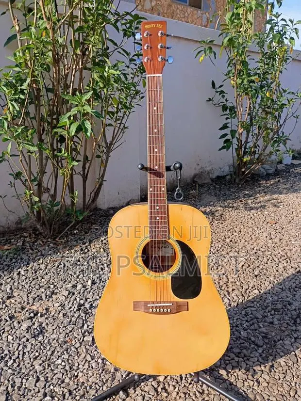 Honey Bee W/15n Acoustic Guitar · Photo 1