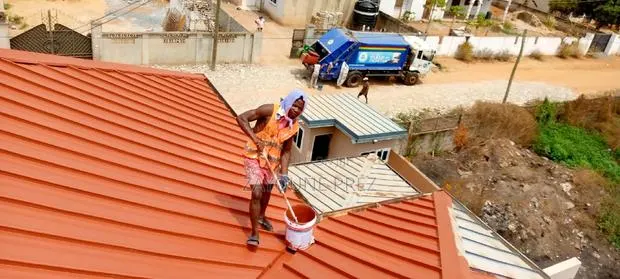 Roof Painting / Spraying · Photo 1