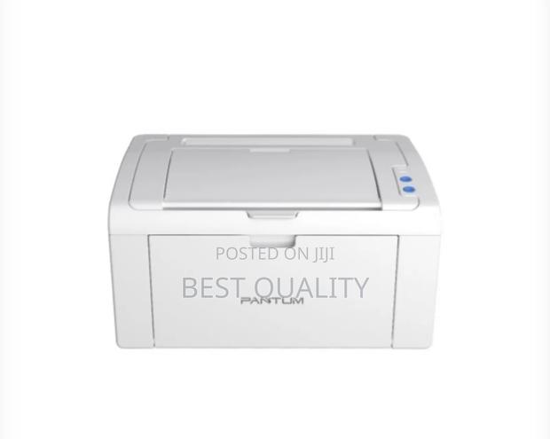 PANTUM P2509 Monochrome Laser Printer · Photo 2