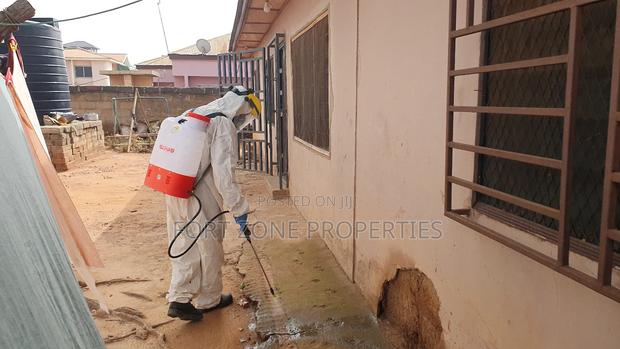 Insect Fear Fumigation With Cleantex · Photo 1