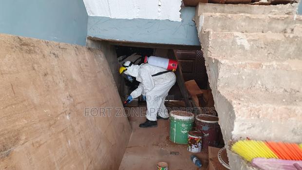 Insect Fear Fumigation With Cleantex · Photo 2