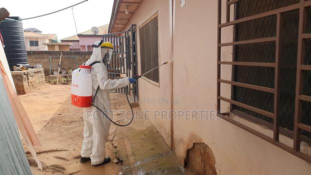 Insect Fear Fumigation With Cleantex · Photo 3