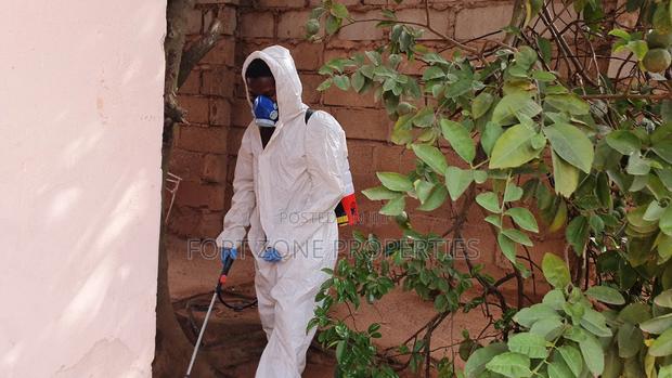 For All Insects and Reptiles Fumigation · Photo 1