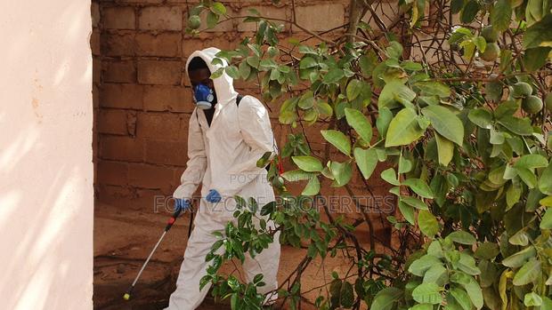 For All Insects and Reptiles Fumigation · Photo 3