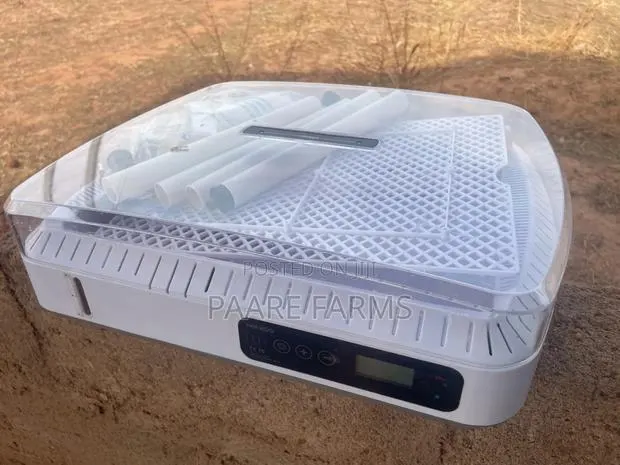 Incubators · Photo 1