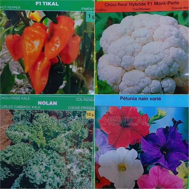 Vegetable Seeds · Photo 2