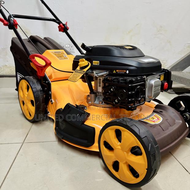 Gasoline Lawn Mower · Photo 4