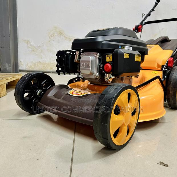 Gasoline Lawn Mower · Photo 2