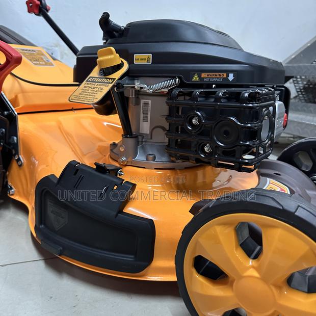 Gasoline Lawn Mower · Photo 7