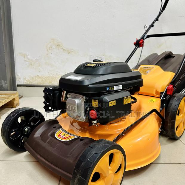 Gasoline Lawn Mower · Photo 5