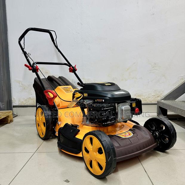 Gasoline Lawn Mower · Photo 3